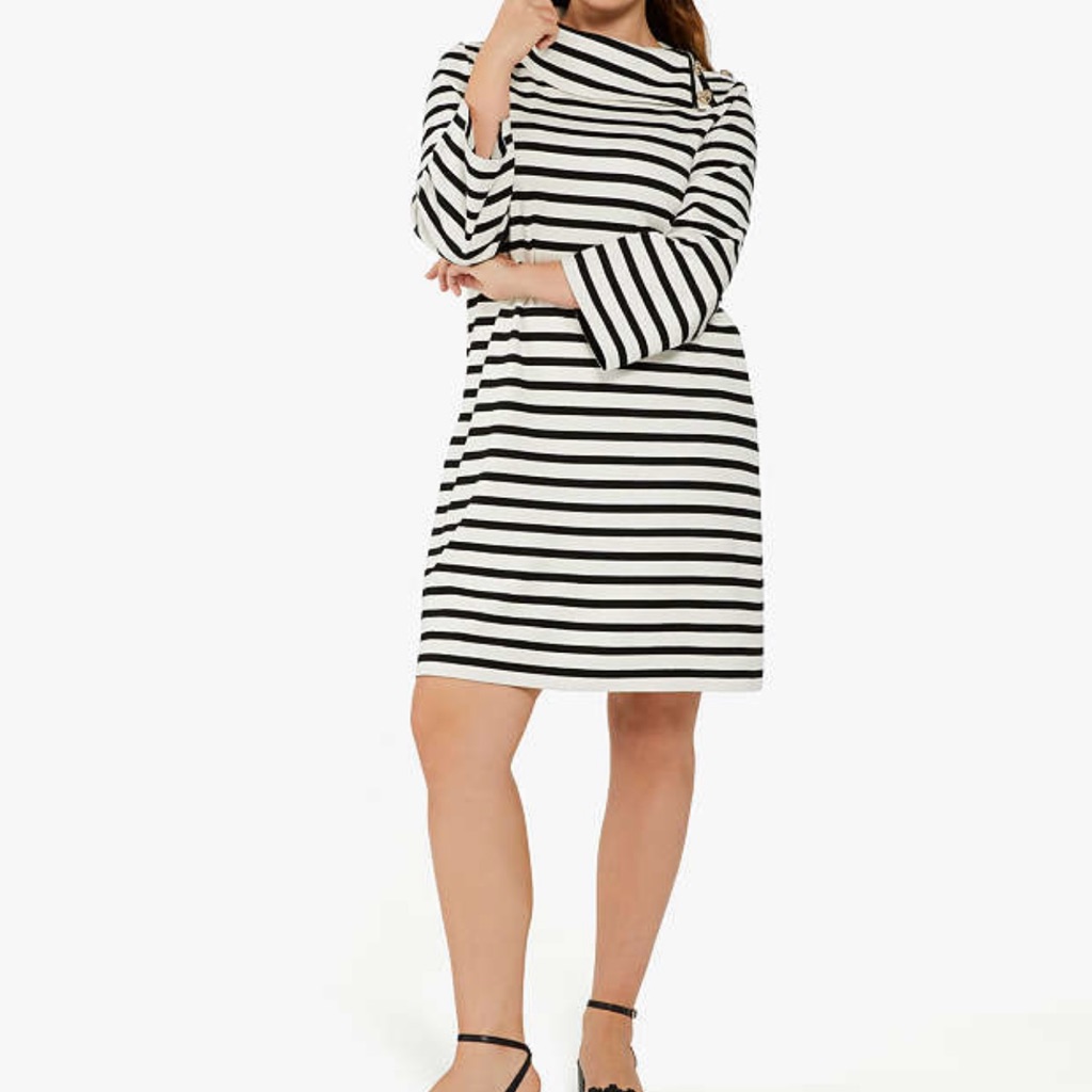 Striped Turtleneck Ponte Dress